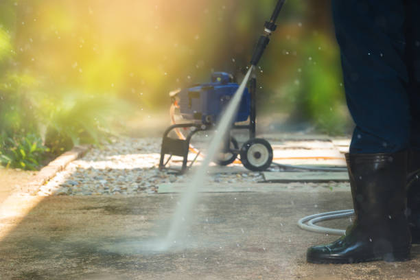 Best Solar Panel Cleaning  in Fowler, MI